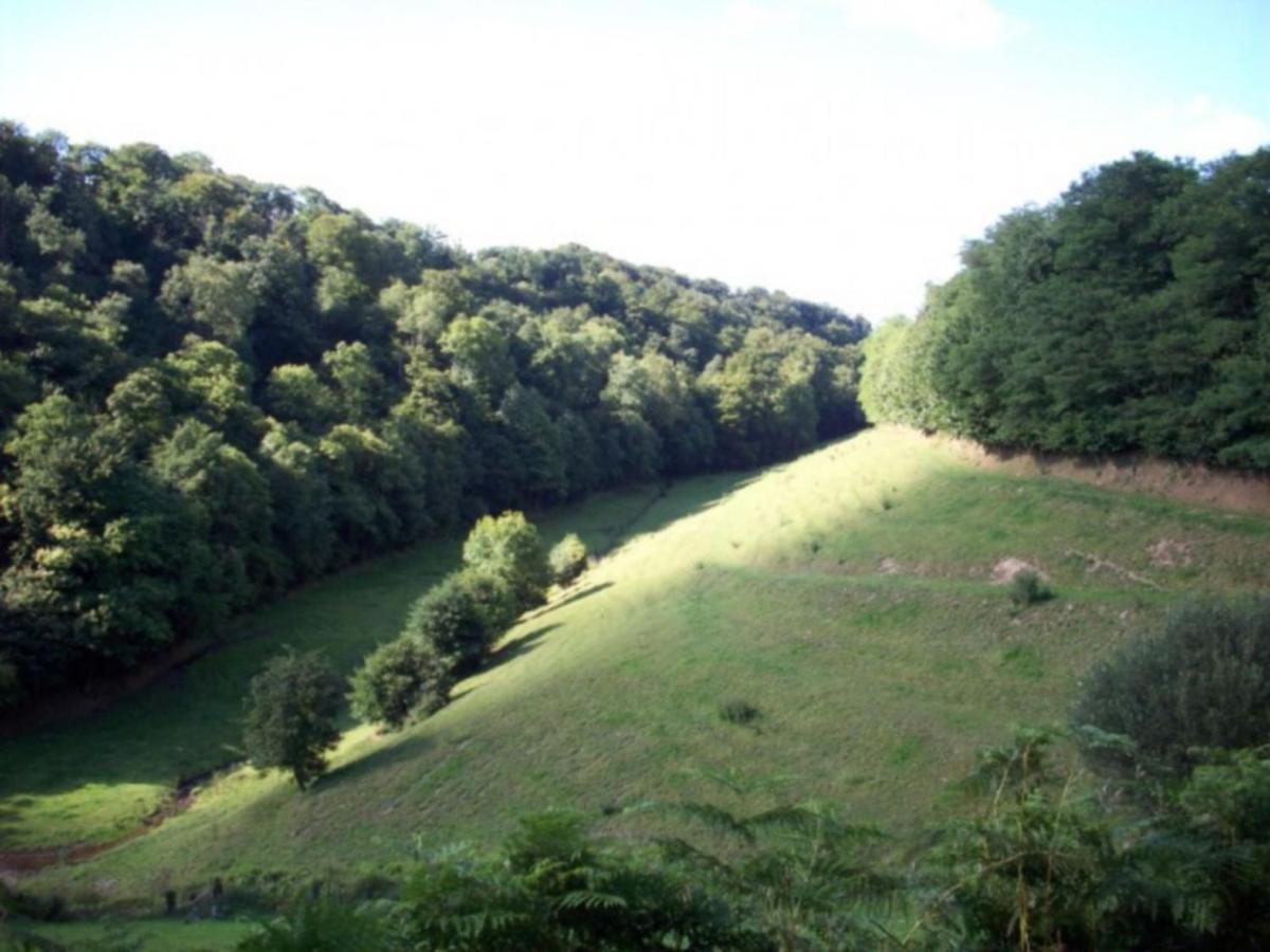 Cosy Chalet With Private Garden In Normandy Isigny-le-Buat ห้อง รูปภาพ